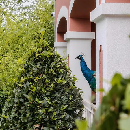 Enotel Santo Da Serra