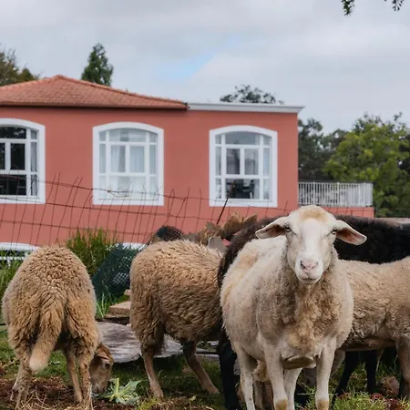 Enotel Santo Da Serra 4* Santo Antonio da Serra