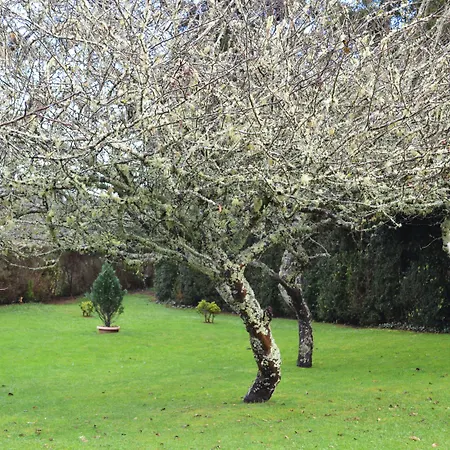 Ξενοδοχείο Enotel Santo Da Serra