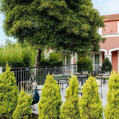 Enotel Santo Da Serra Hotel