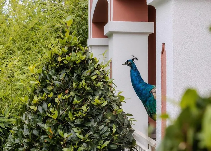 Enotel Santo Da Serra