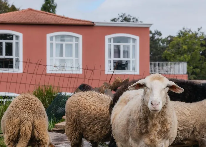 Enotel Santo Da Serra 4* Santo Antonio da Serra