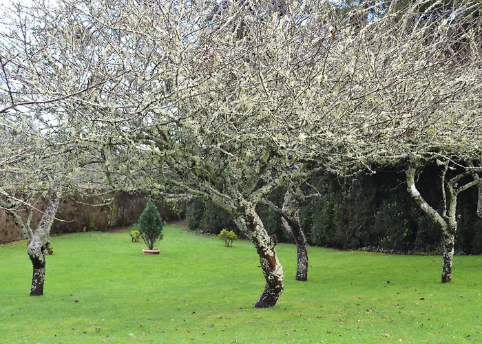 Hotel Enotel Santo Da Serra